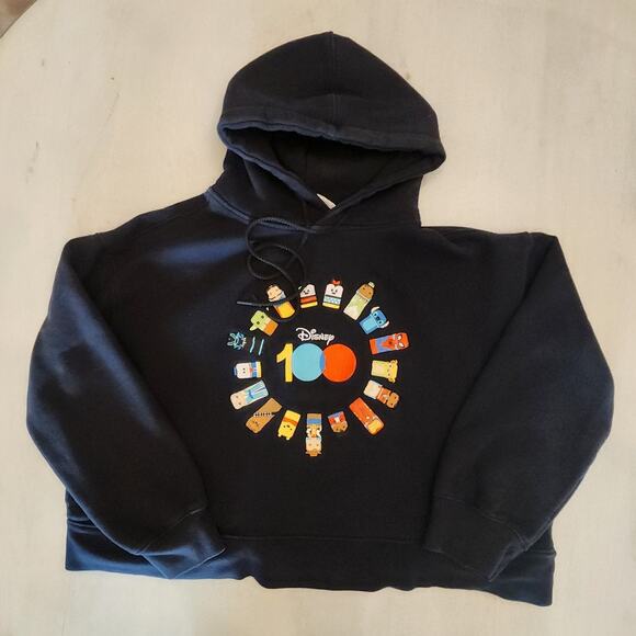 Disney 100 Unified Characters Pullover Hoodie Cropped SZ Large Pixar Marvel - Picture 1 of 6
